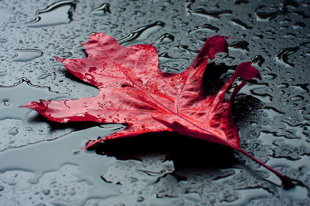 Impermanence